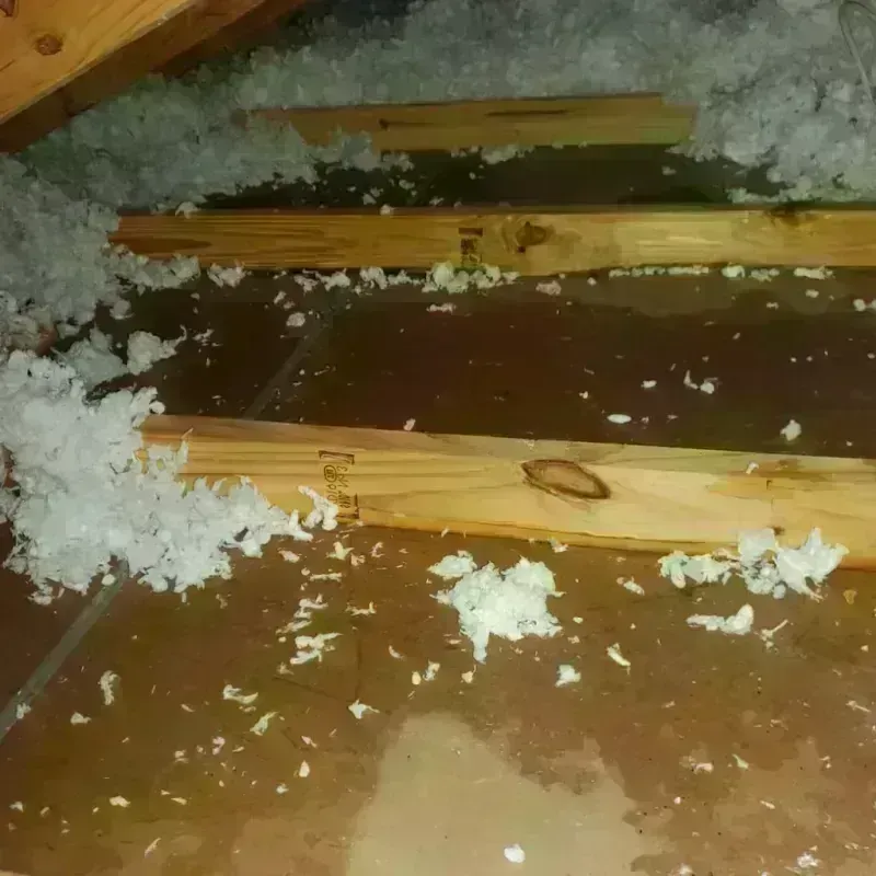 Attic Water Damage in Oakville, CT