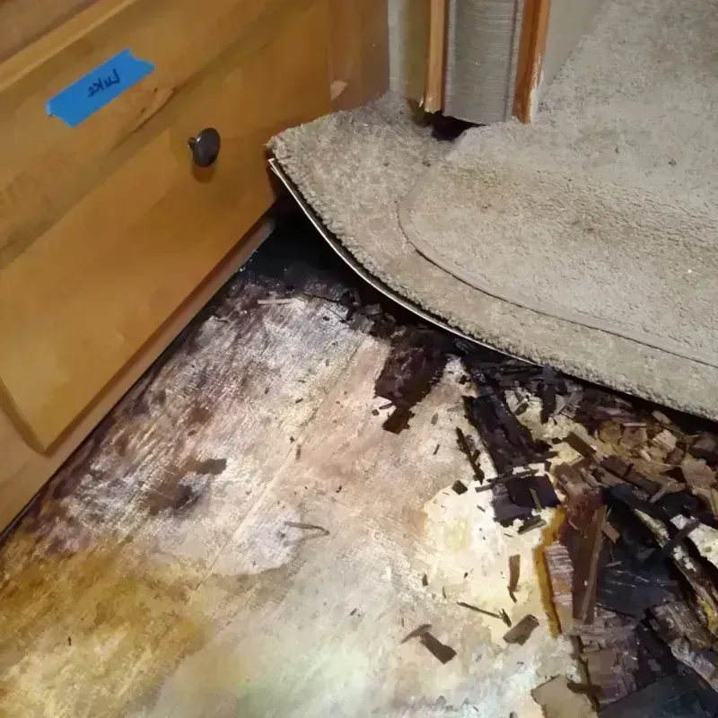 Best Wood Floor Water Damage Service in Oakville, CT